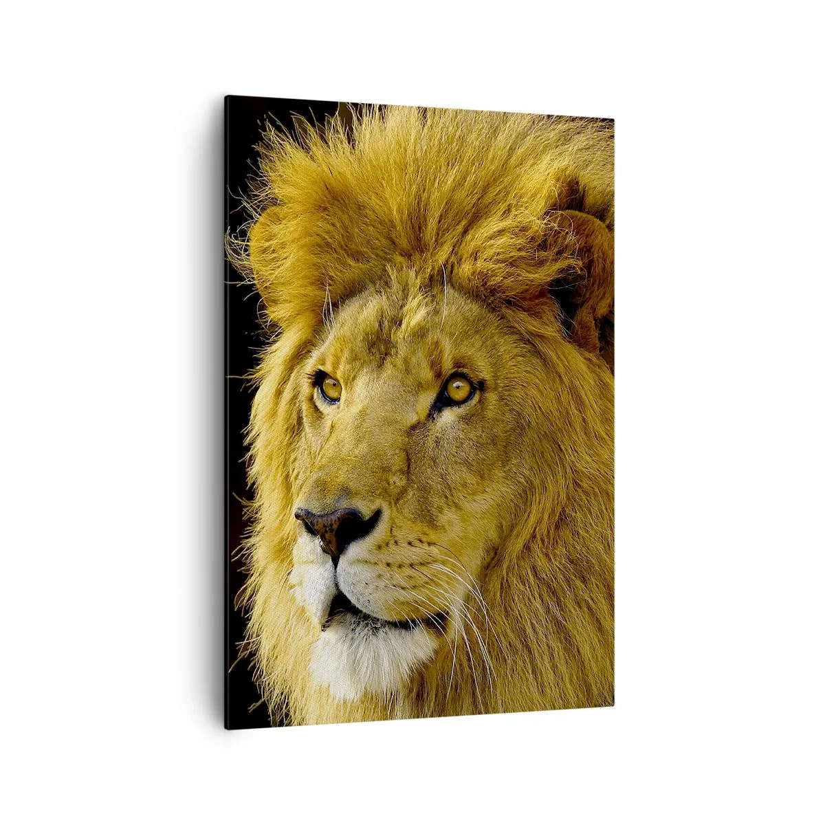 Canvas picture - Portrait of a King - 70x100 cm