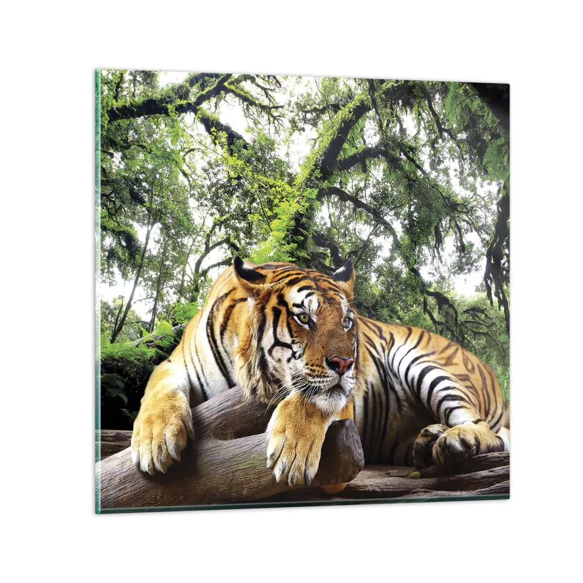 Glass picture - Best Regards - 60x60 cm