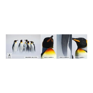 Photo Wallpaper Sample Standard Eco - Meeting in Tuxedos - Animals, Penguin, Nature - 100x30 cm