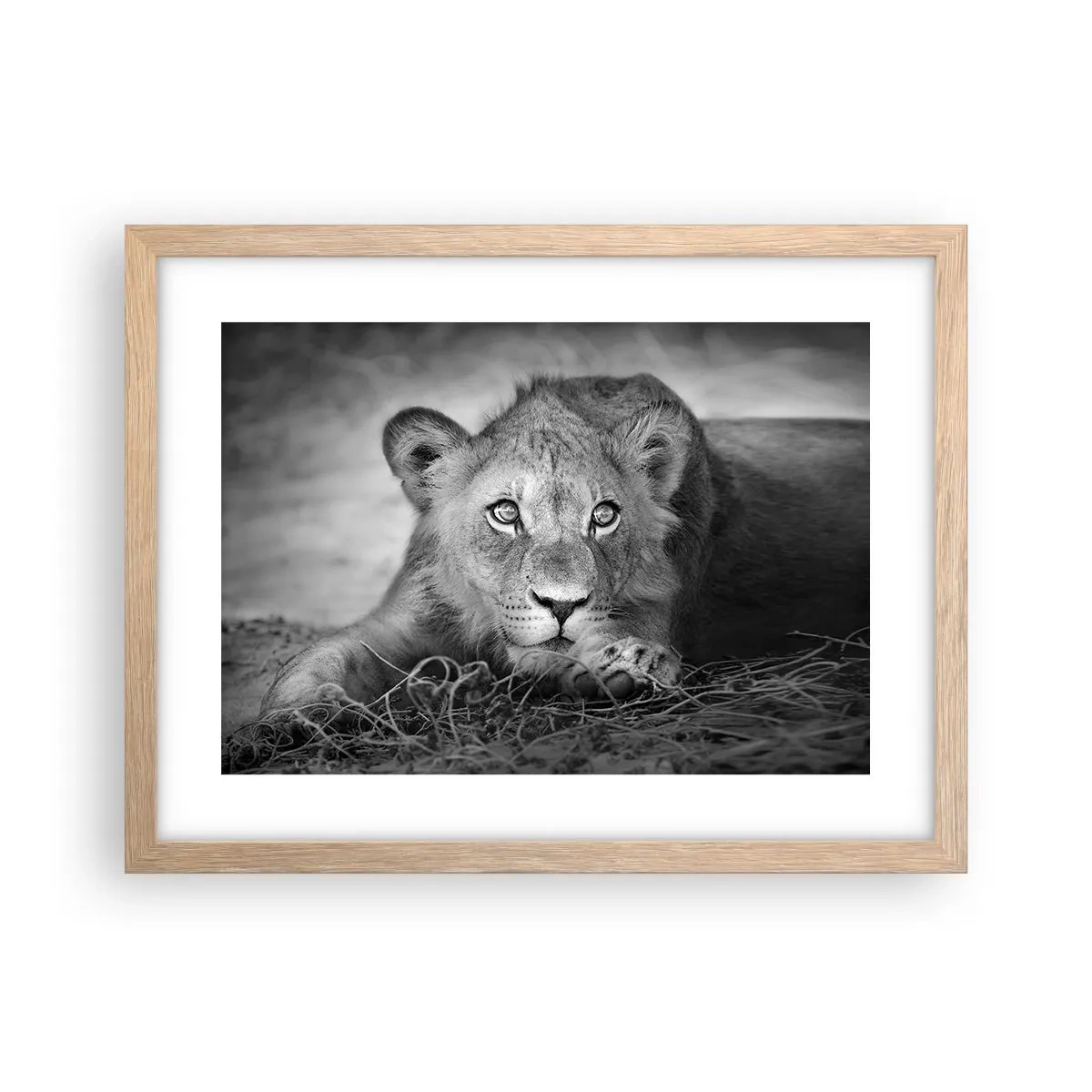 Poster in light oak frame - Royal Puppy - 40x30 cm