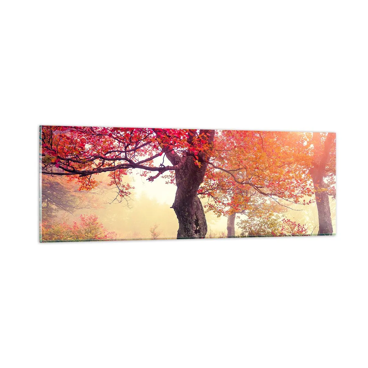 Glass picture - In Full Bloom - 90x30 cm