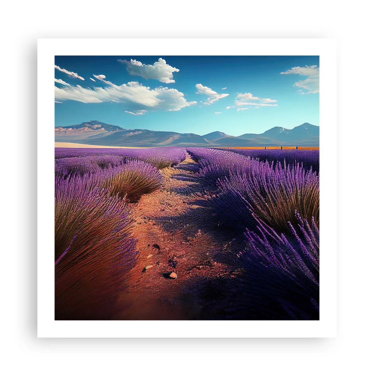 Poster - Fragrant Fields - 60x60 cm