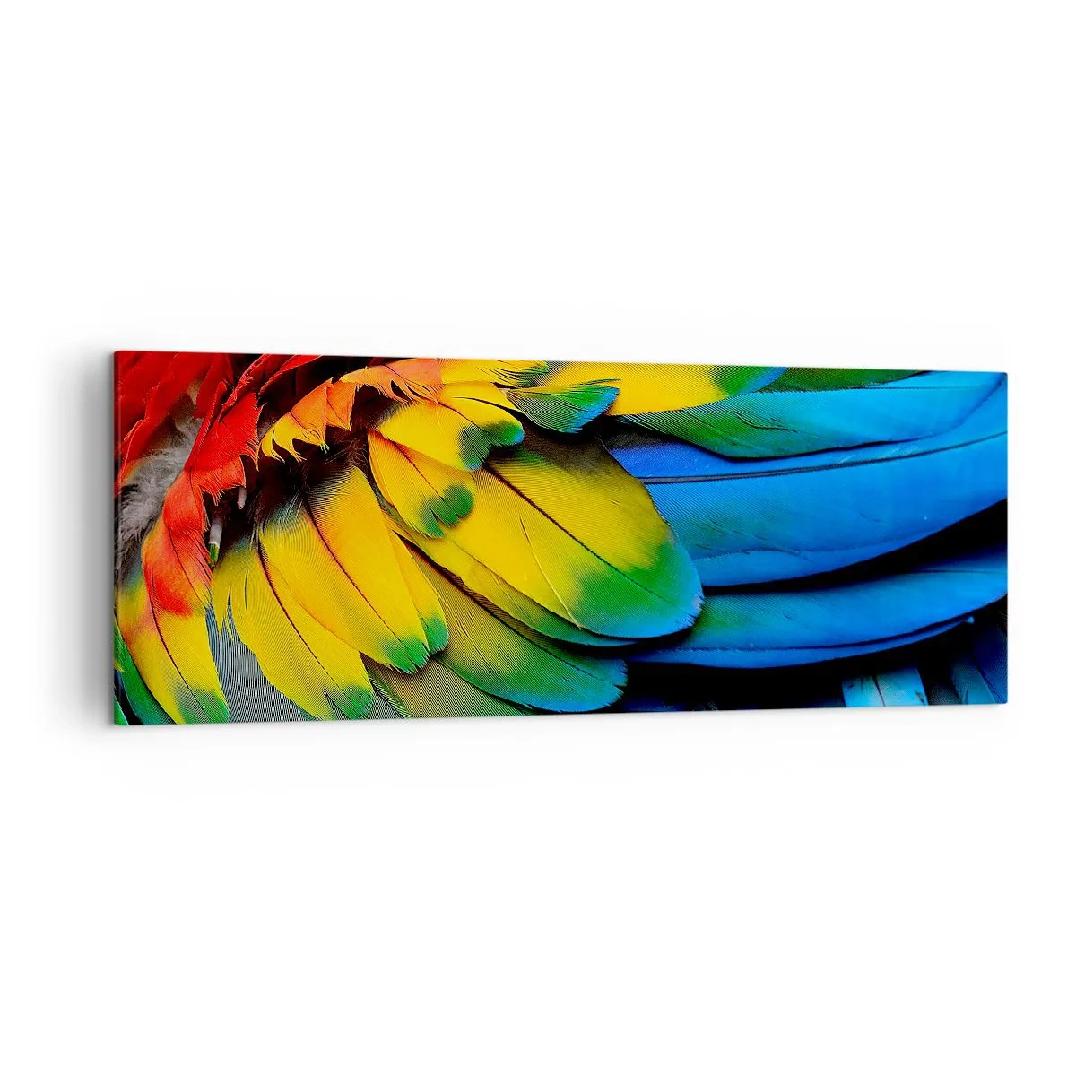 Canvas picture - Bird Of Paradise - 140x50 cm