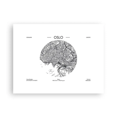 Poster - Anatomy of Oslo - 40x30 cm
