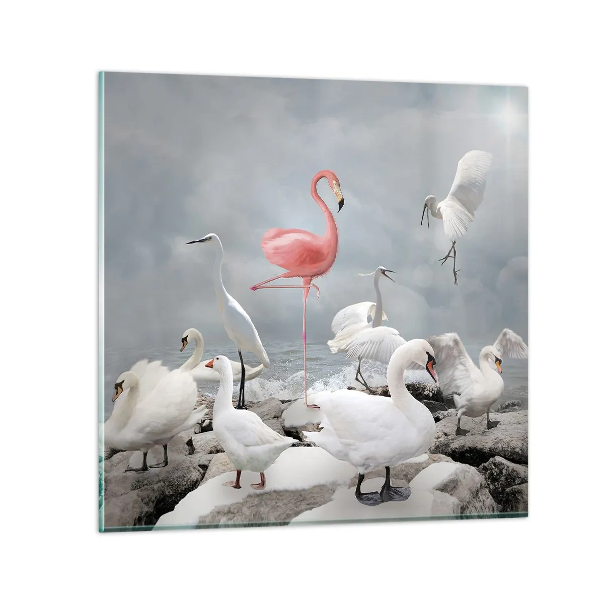 Glass picture - Where Did I Come from? - 50x50 cm