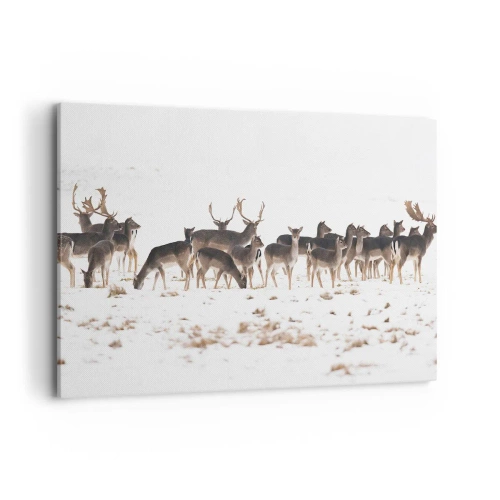 Canvas picture - Is it Christmas Already? - 120x80 cm