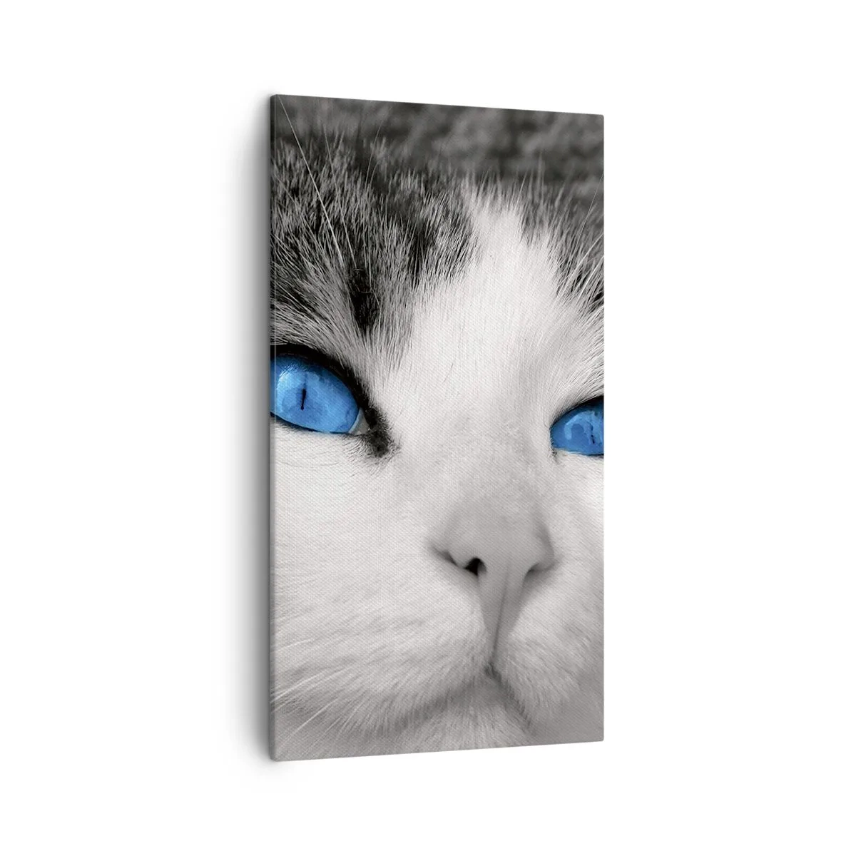 Canvas picture - Extremely Blue-eyed - 45x80 cm
