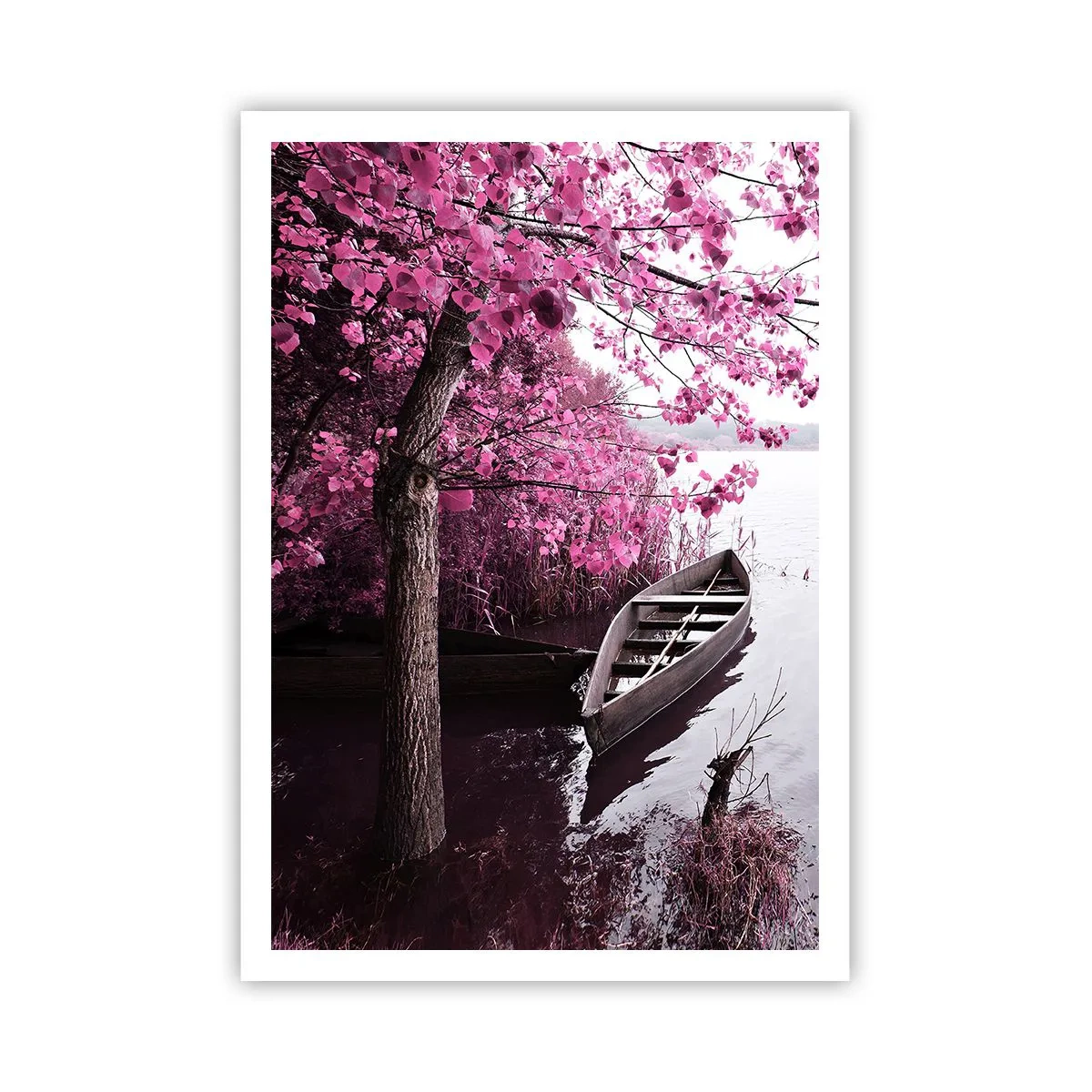Poster - In Pink Silence - 70x100 cm