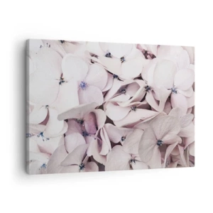 Canvas picture - Delicate white hydrangeas in pastel shades - 70x50cm - In the Flood of Flowers - Modern wall decoration for the living room and bedroom ARTTOR