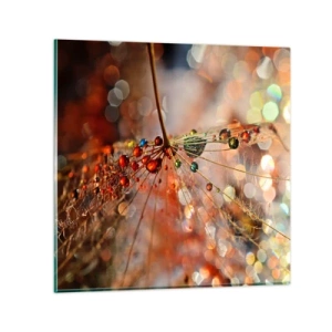 Glass picture - Strung on a Spider's Web - 60x60 cm