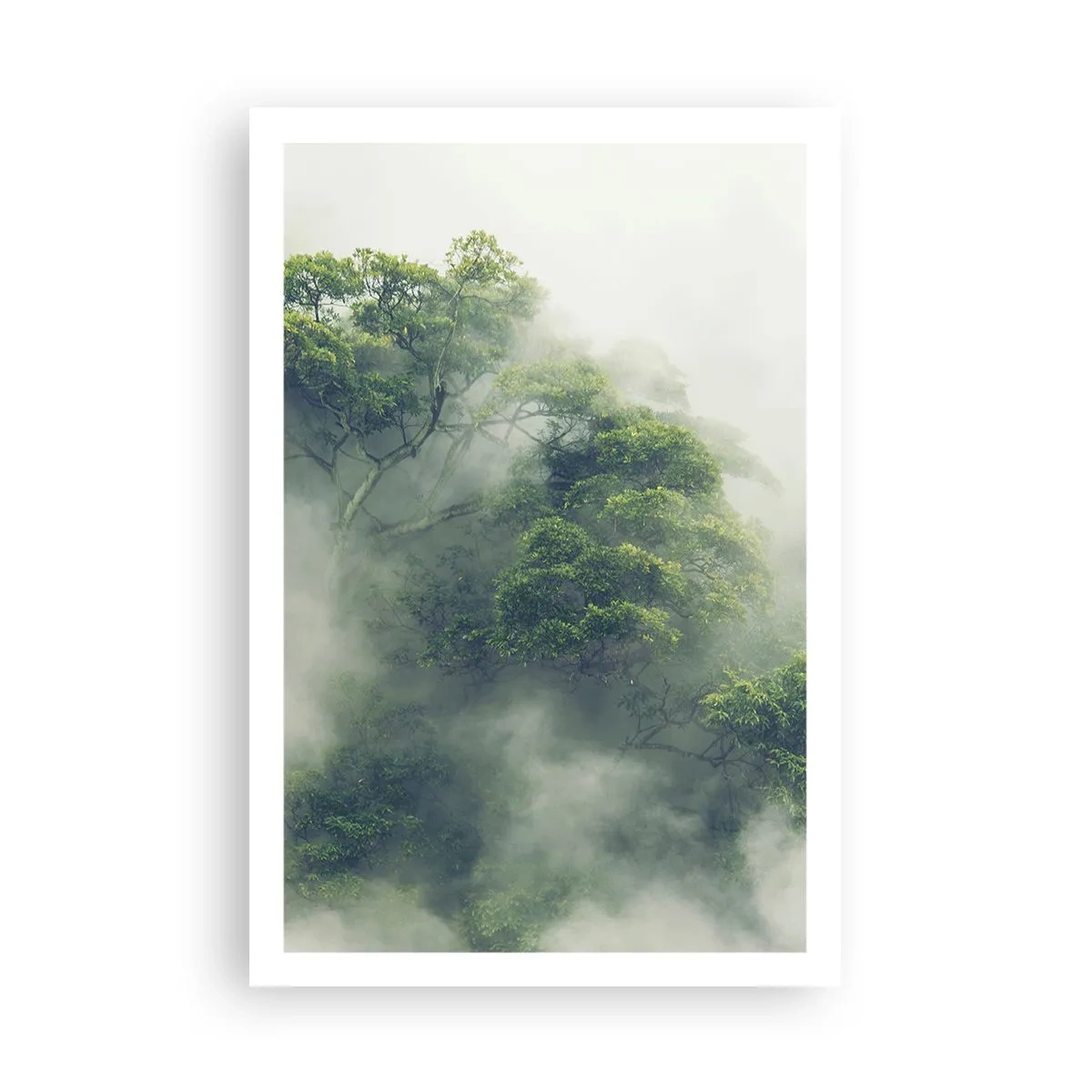 Poster - Wrapped In Fog - 61x91 cm