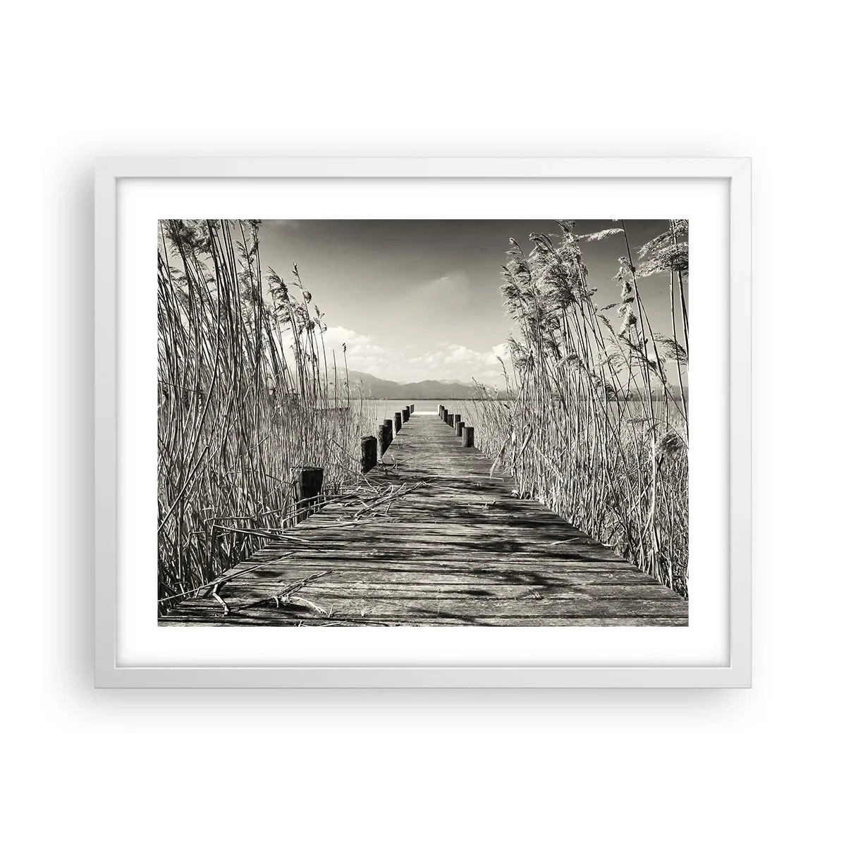 Poster in white frmae - In the Grass - 50x40 cm