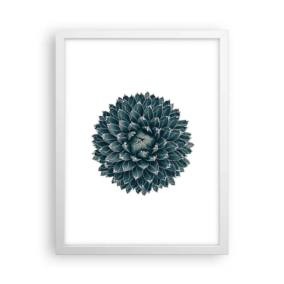 Poster in white frmae - Star of the Desert - 30x40 cm