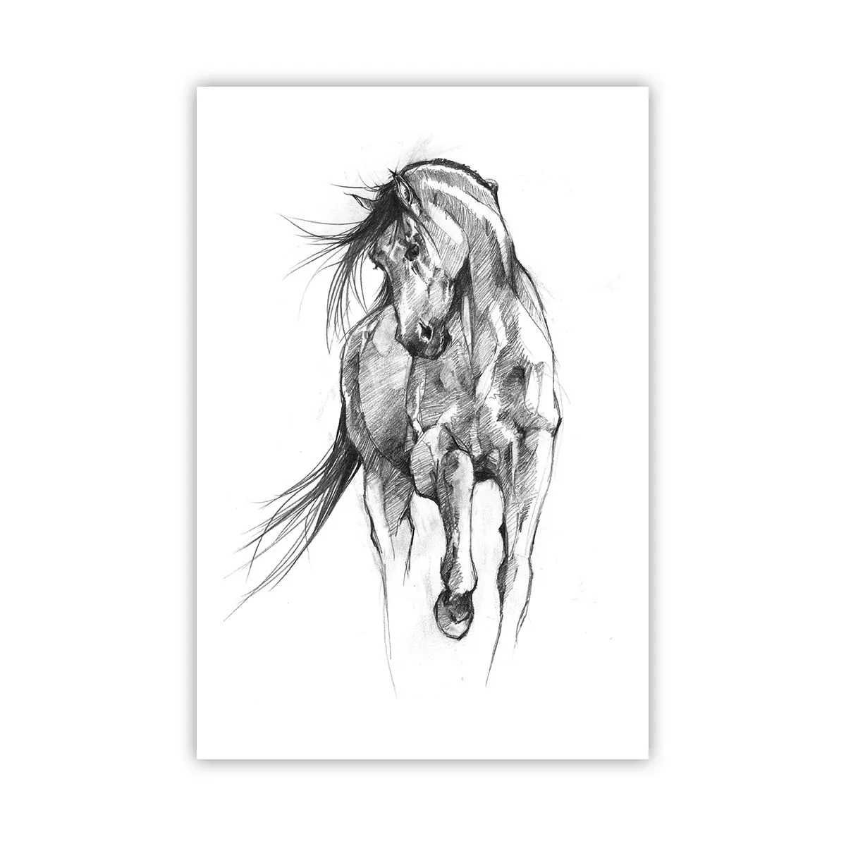 Poster - In a Graceful Trot - 61x91 cm