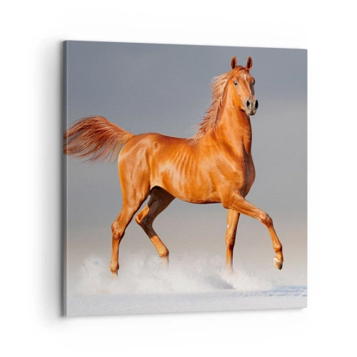 Canvas picture - Dancing Grace - 60x60 cm