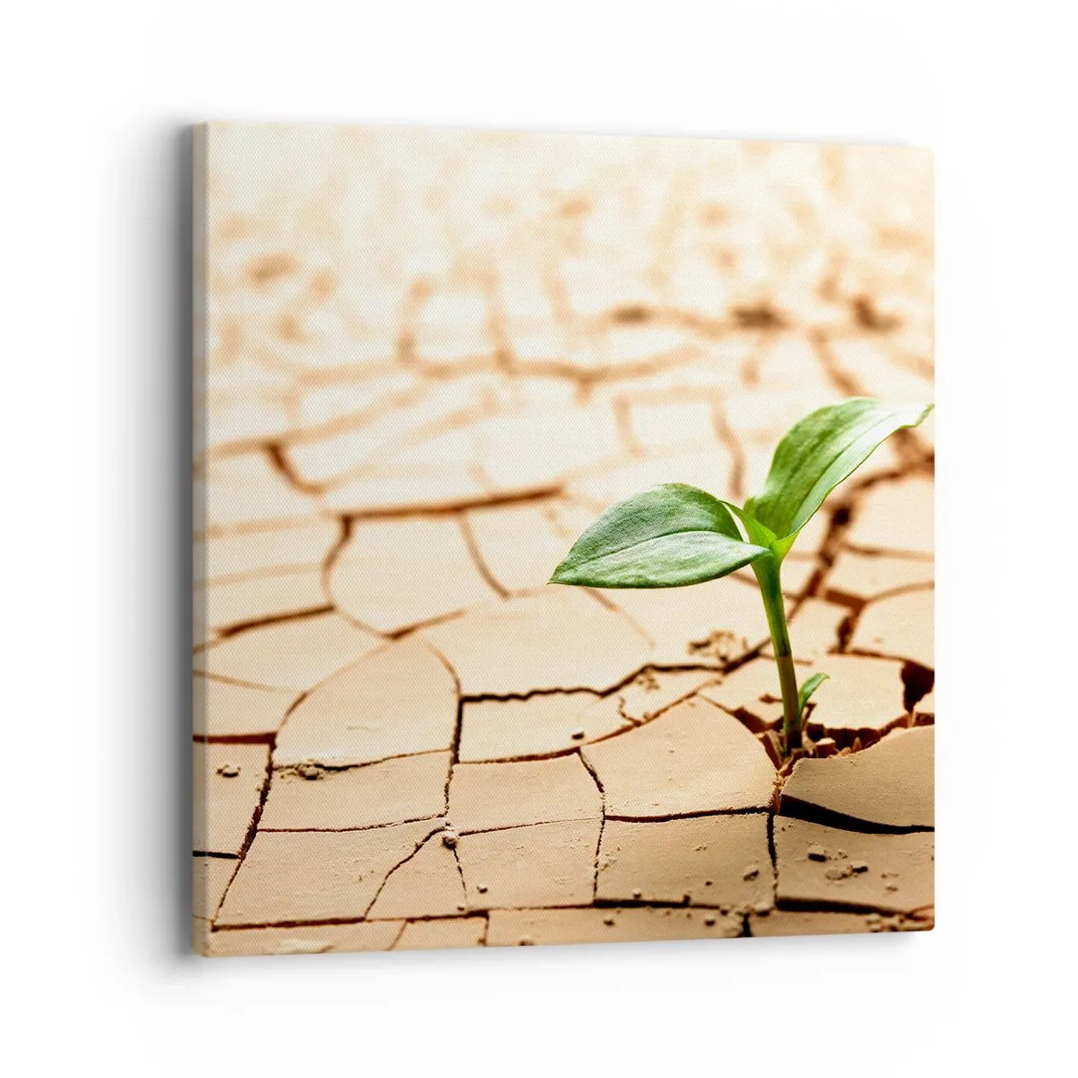 Canvas picture - Untamed Life Force - 40x40 cm