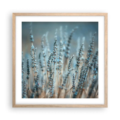 Poster in light oak frame - Fragrant Grass - 50x50 cm