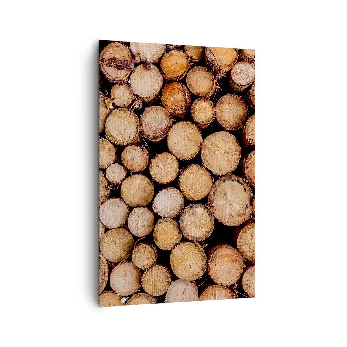 Canvas picture - New Beginning - 80x120 cm