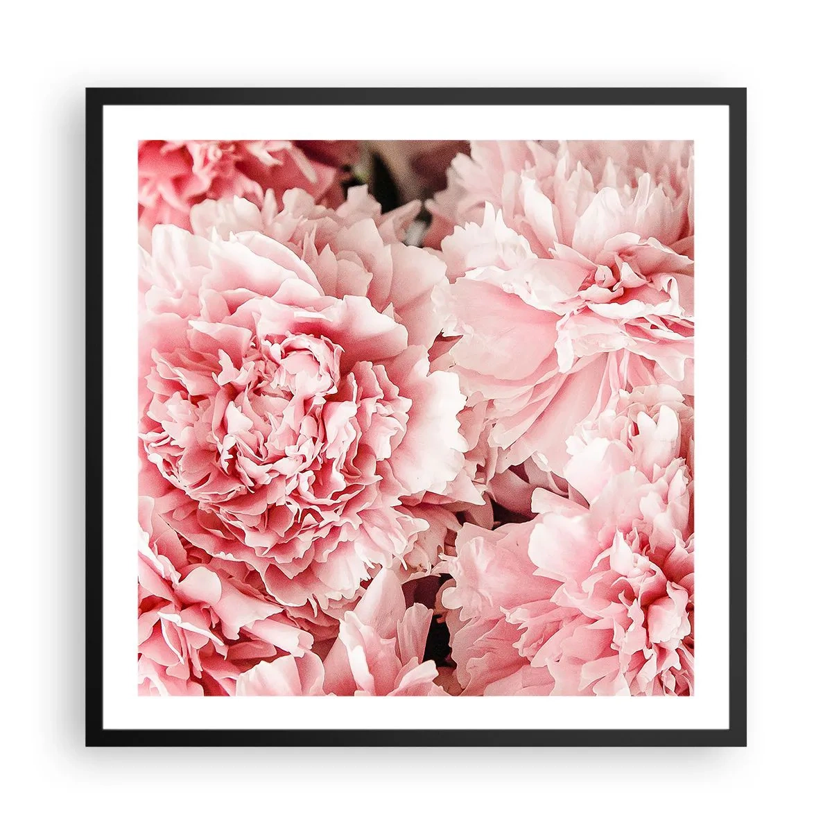 Poster in black frame - Pink Dreams - 60x60 cm