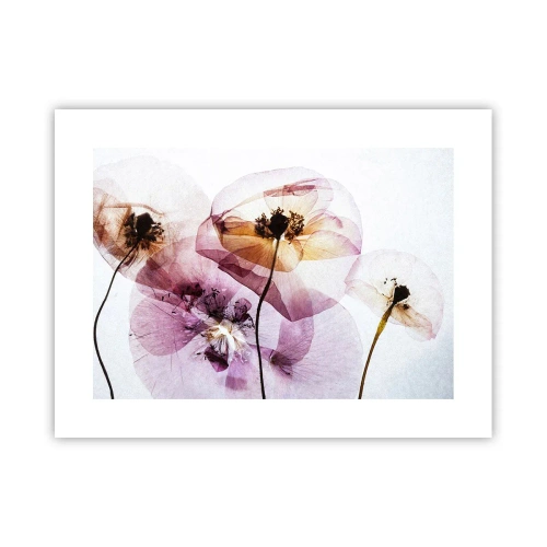 Poster - Flower Body Slide - 40x30 cm