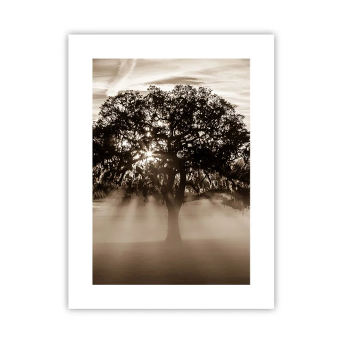 Poster - Tree of Good Knowledge - 30x40 cm