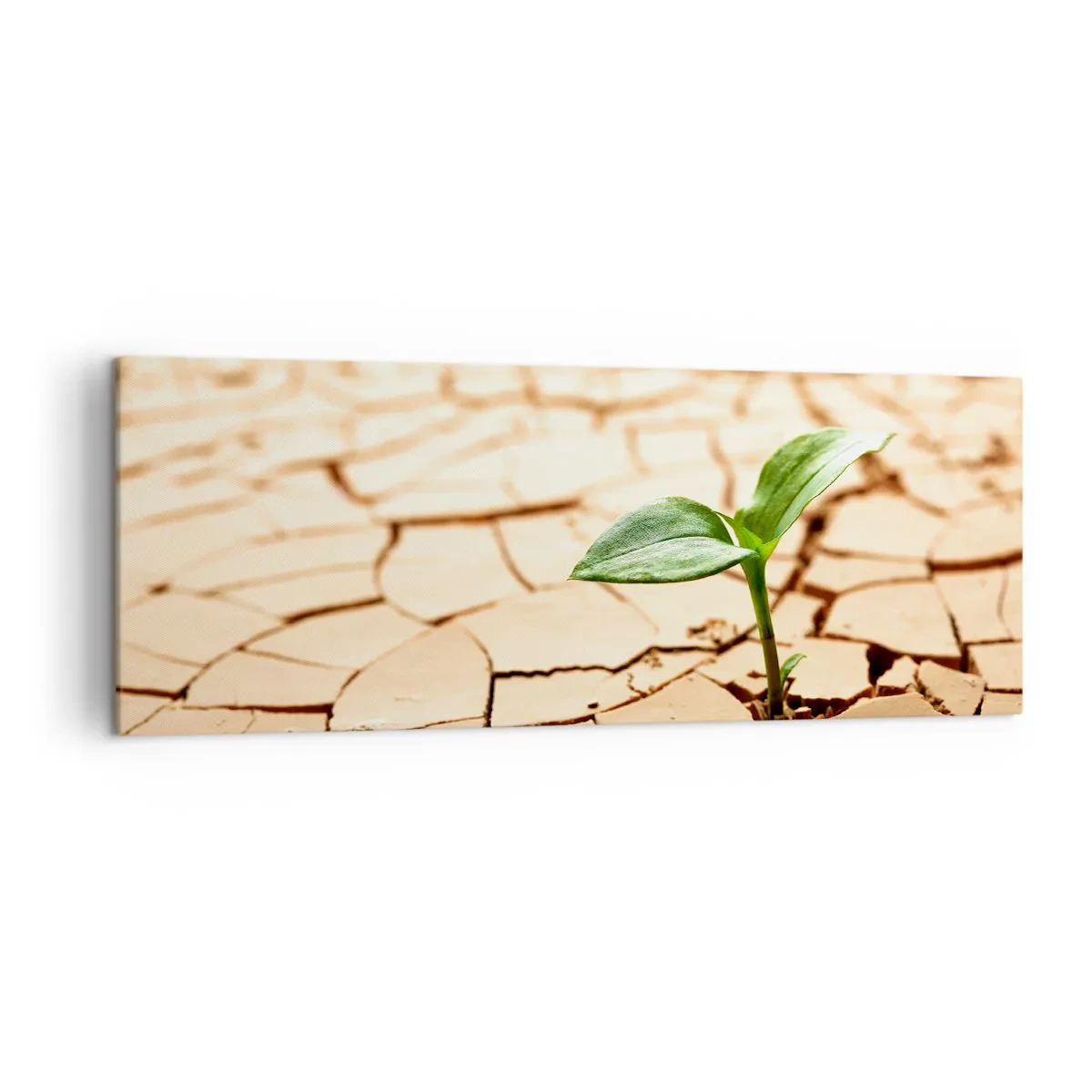 Canvas picture - Untamed Life Force - 140x50 cm