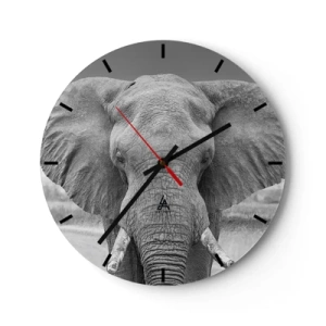 Wall clock - Clock on glass - A black and white photograph of an elephant looking straight into the camera. - 30x30cm - Welcome to My World - Modern wall decoration for the living room, kitchen, and bedroom ARTTOR