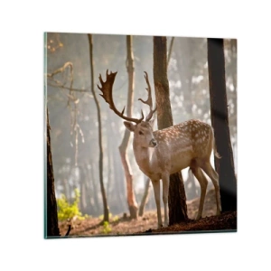 Glass picture - Light of Youth - 70x70 cm