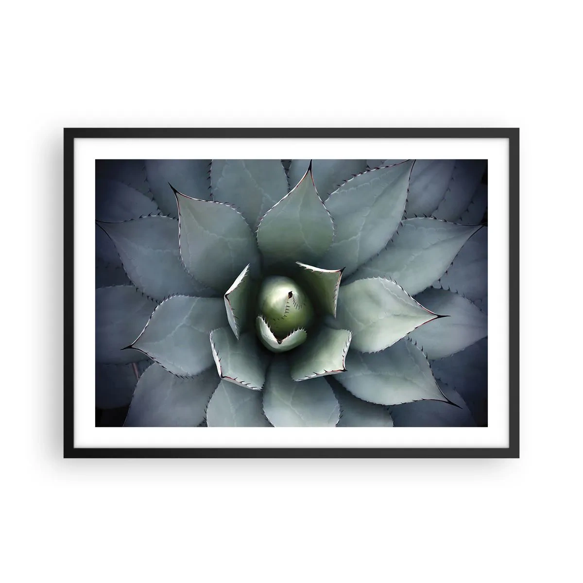 Poster in black frame - Attracts and Warns - 70x50 cm