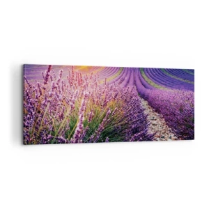 Canvas picture - Fragrant Field - 100x40 cm