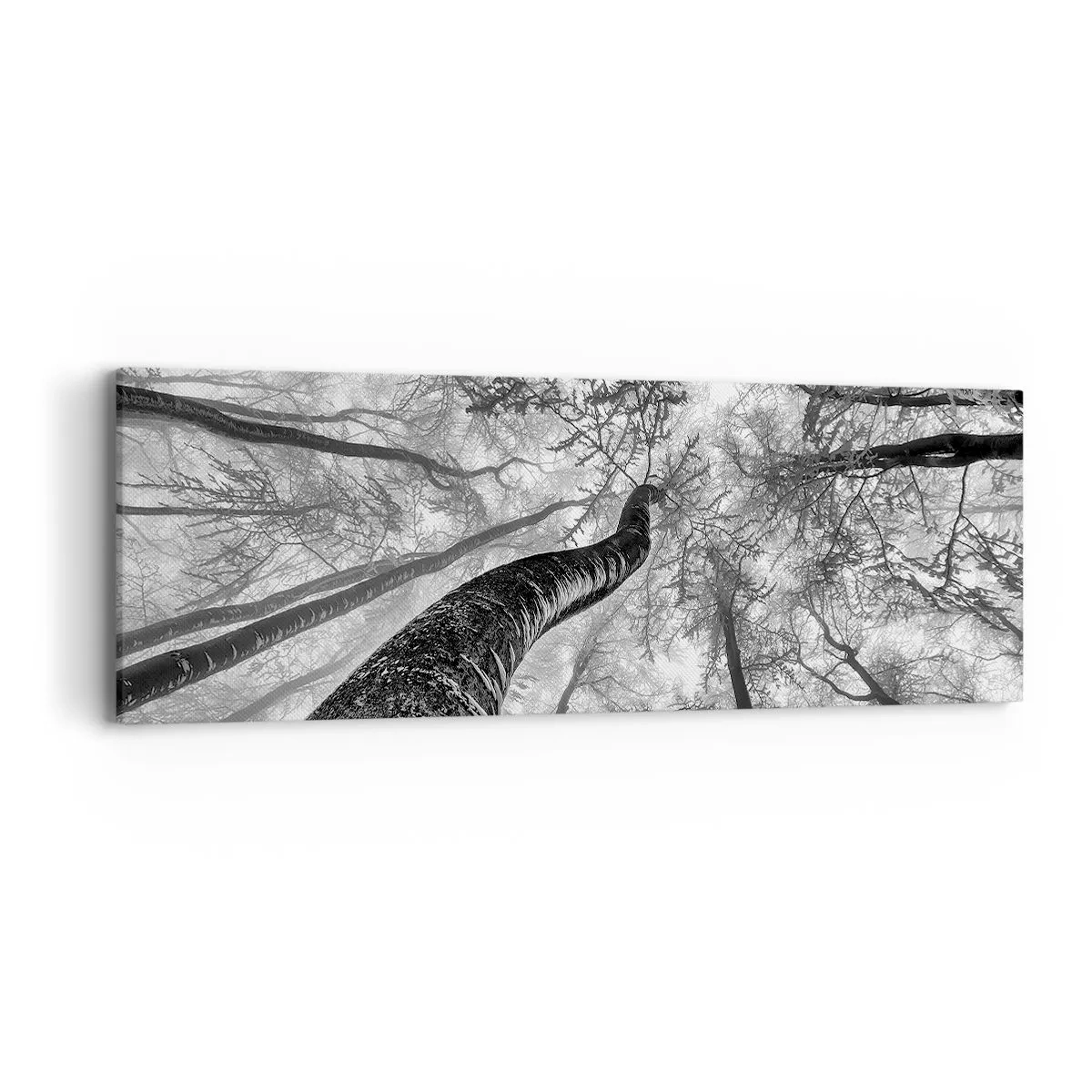 Canvas picture - Race for the Light - 90x30 cm