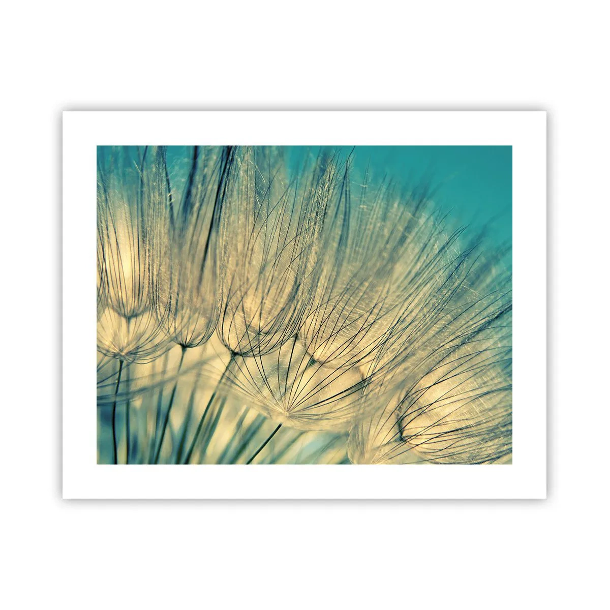 Poster - Waiting for the Wind - 50x40 cm