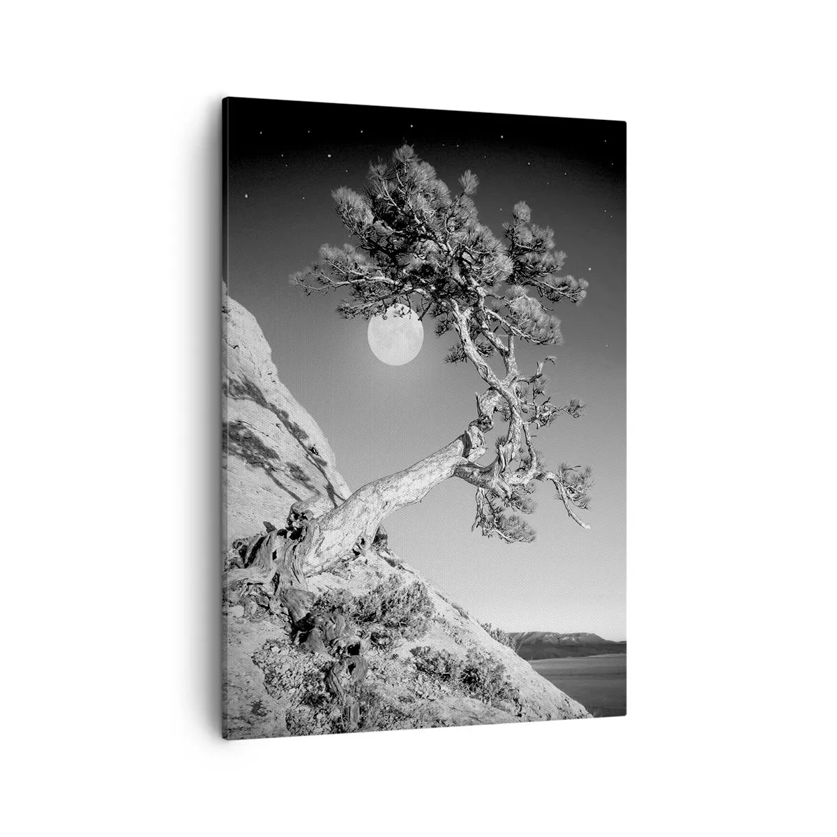 Canvas picture - Winning Warrior - 50x70 cm