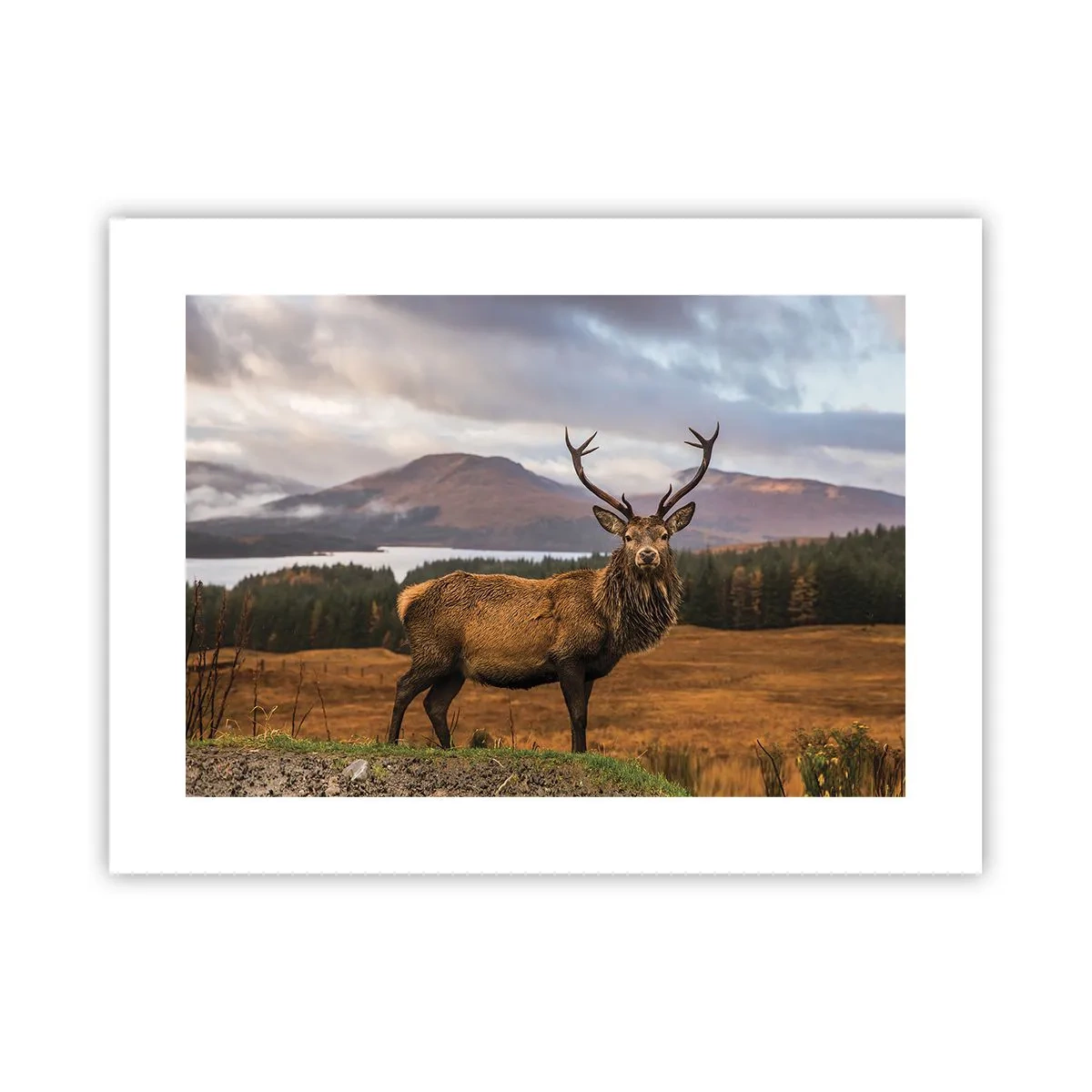 Poster - Majesty of Nature - 40x30 cm