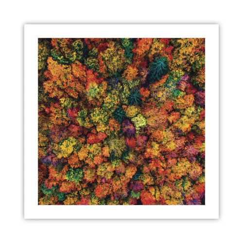 Poster - Bouquet of Autumn Flowers - 50x50 cm