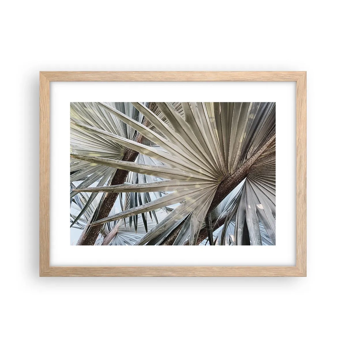 Poster in light oak frame - Fans in tropics - 40x30 cm