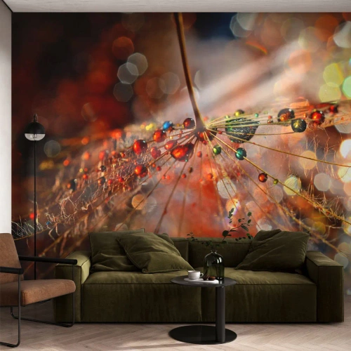 Photo Wallpaper Premium Sand - Strung on a Spider's Web - Abstraction, Spider's web, Piece - 350x256 cm