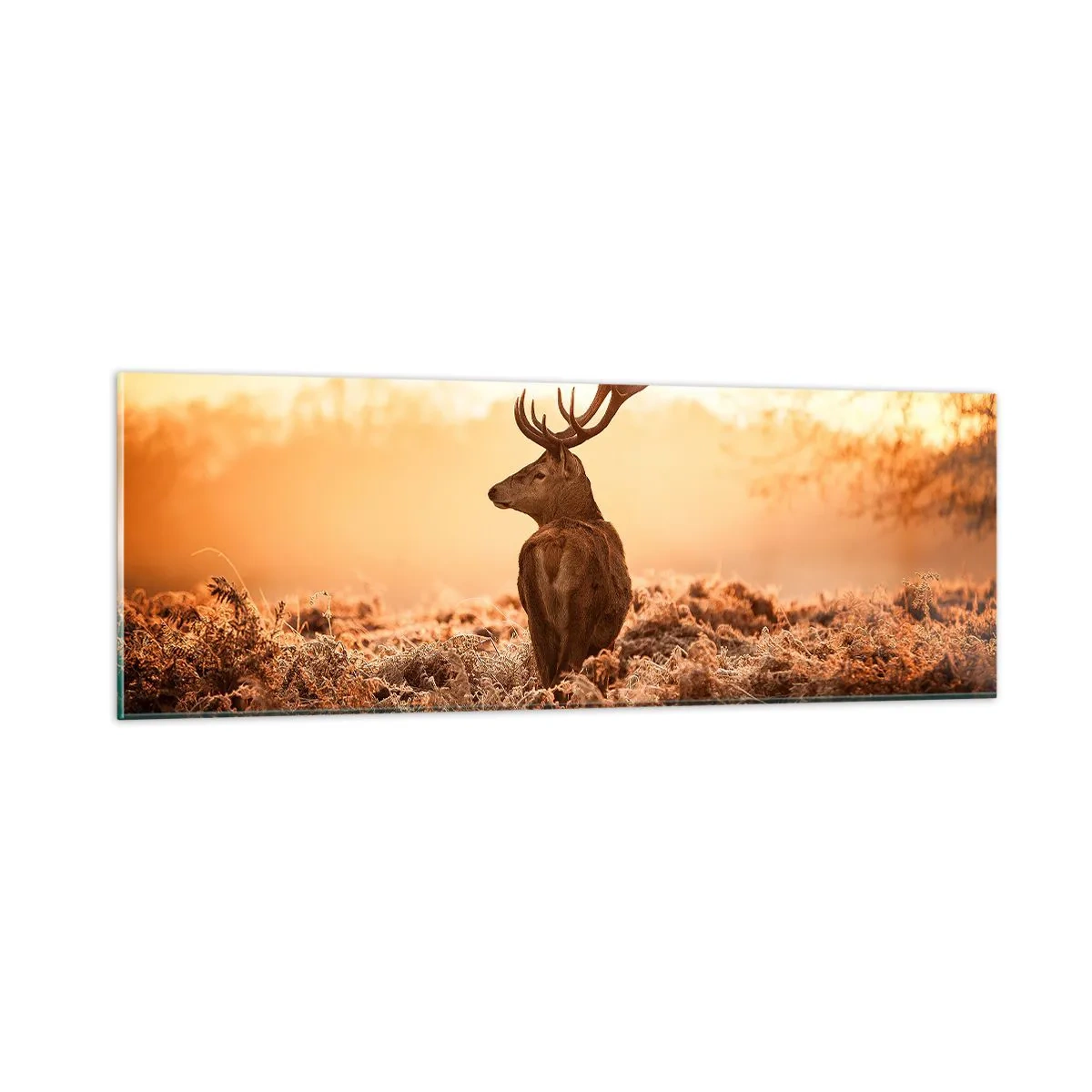 Glass picture - Master of the Moor - 90x30 cm