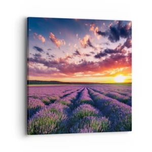 Canvas picture - Lavender World - 40x40 cm