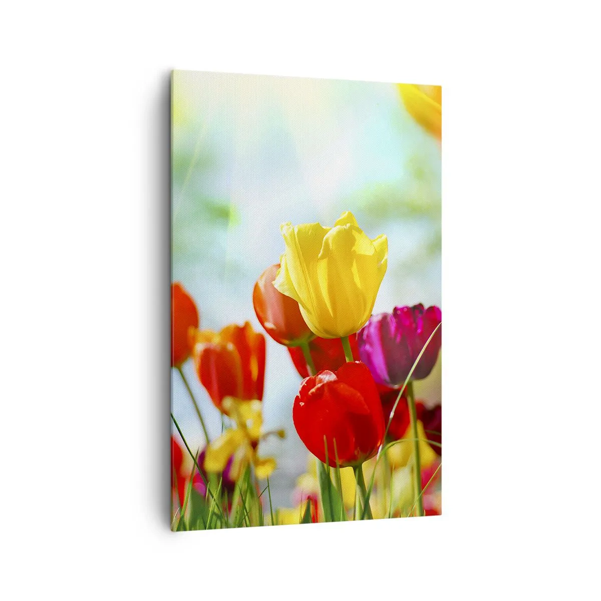 Canvas picture - All Colours of the Sun - 80x120 cm