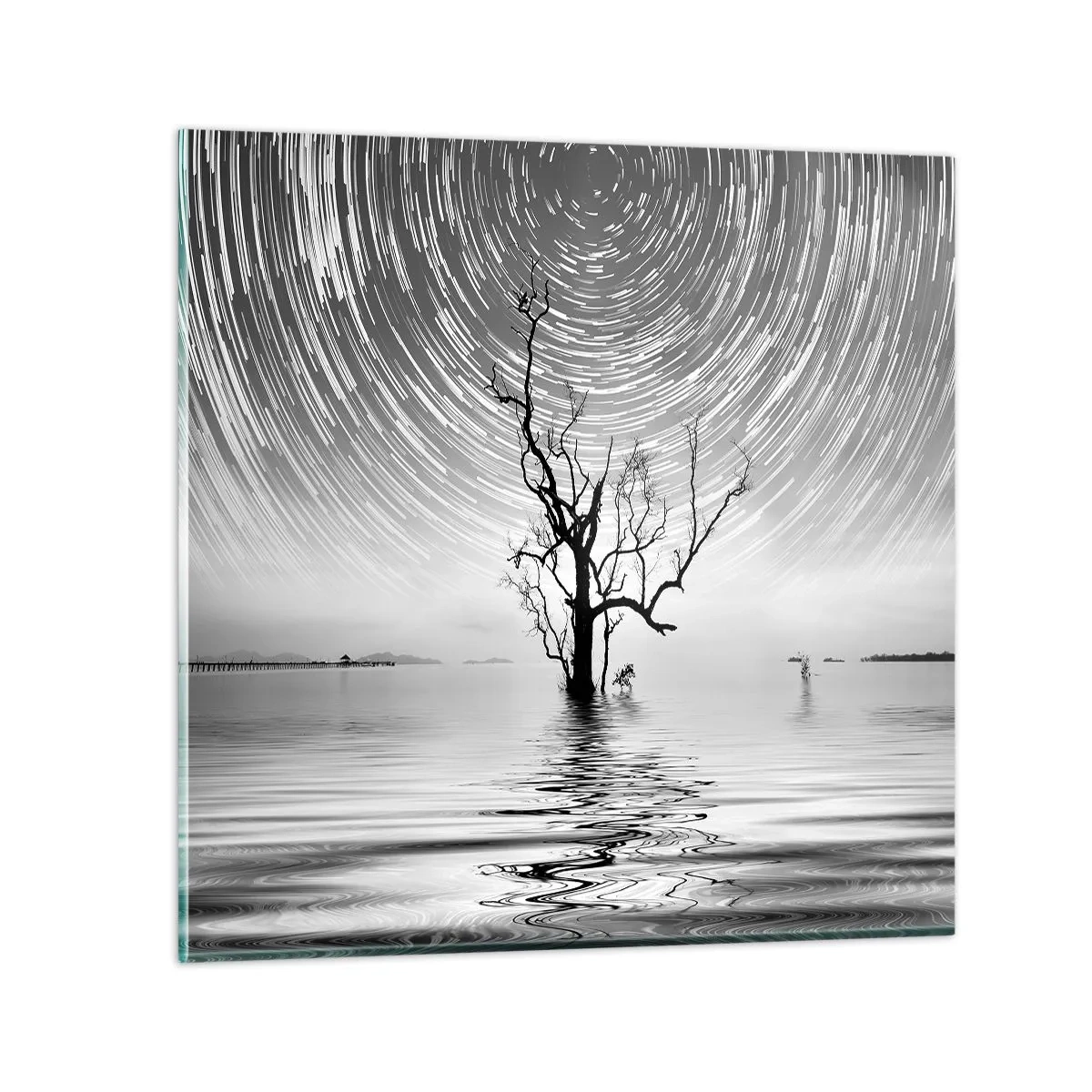 Glass picture - Symphony of Nature - 70x70 cm