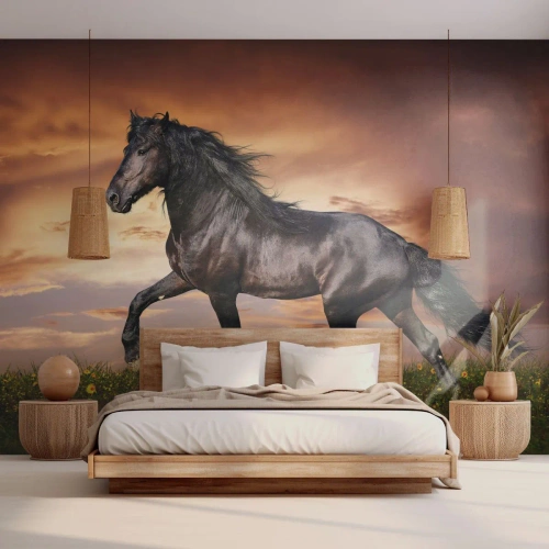 Self-Adhesive Photo Wallpaper Deluxe Sticker - Black Prince - Animals, Arabian horse, Landscape - 250x175 cm