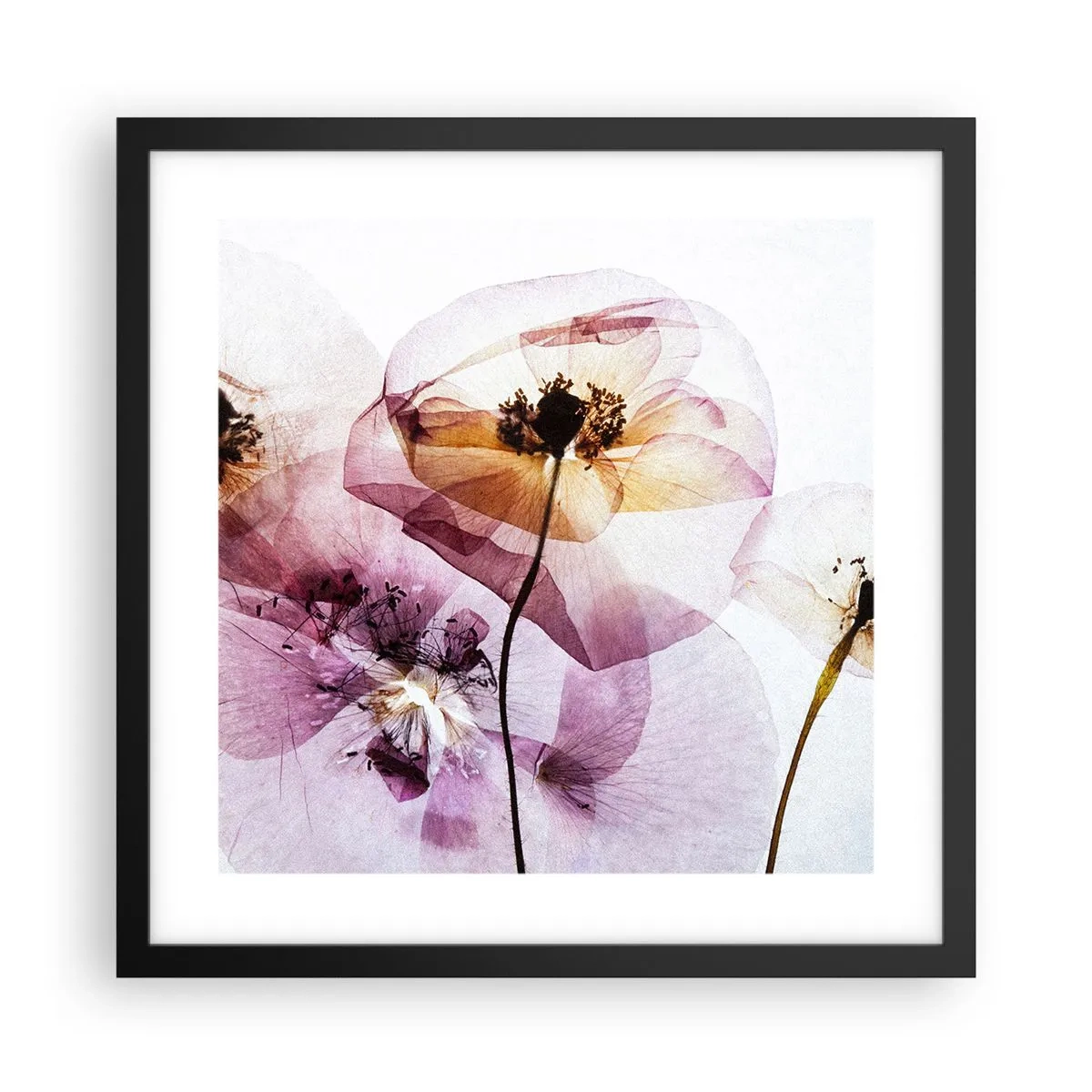 Poster in black frame - Flower Body Slide - 40x40 cm