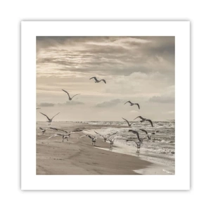 Poster - Sound of the Sea, Singing of the Birds - 40x40 cm