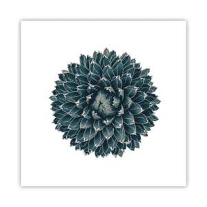 Poster - Star of the Desert - 40x40 cm