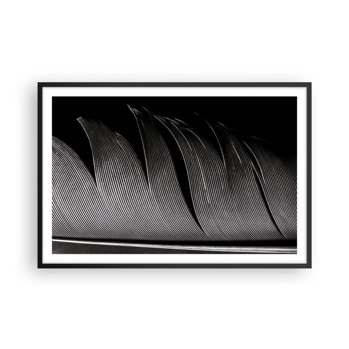 Poster in black frame - Feather - Wonderful Constract - 91x61 cm