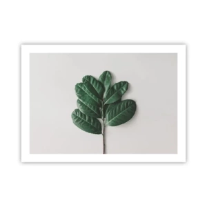 Poster - Drawing of Nature Itself - 70x50 cm