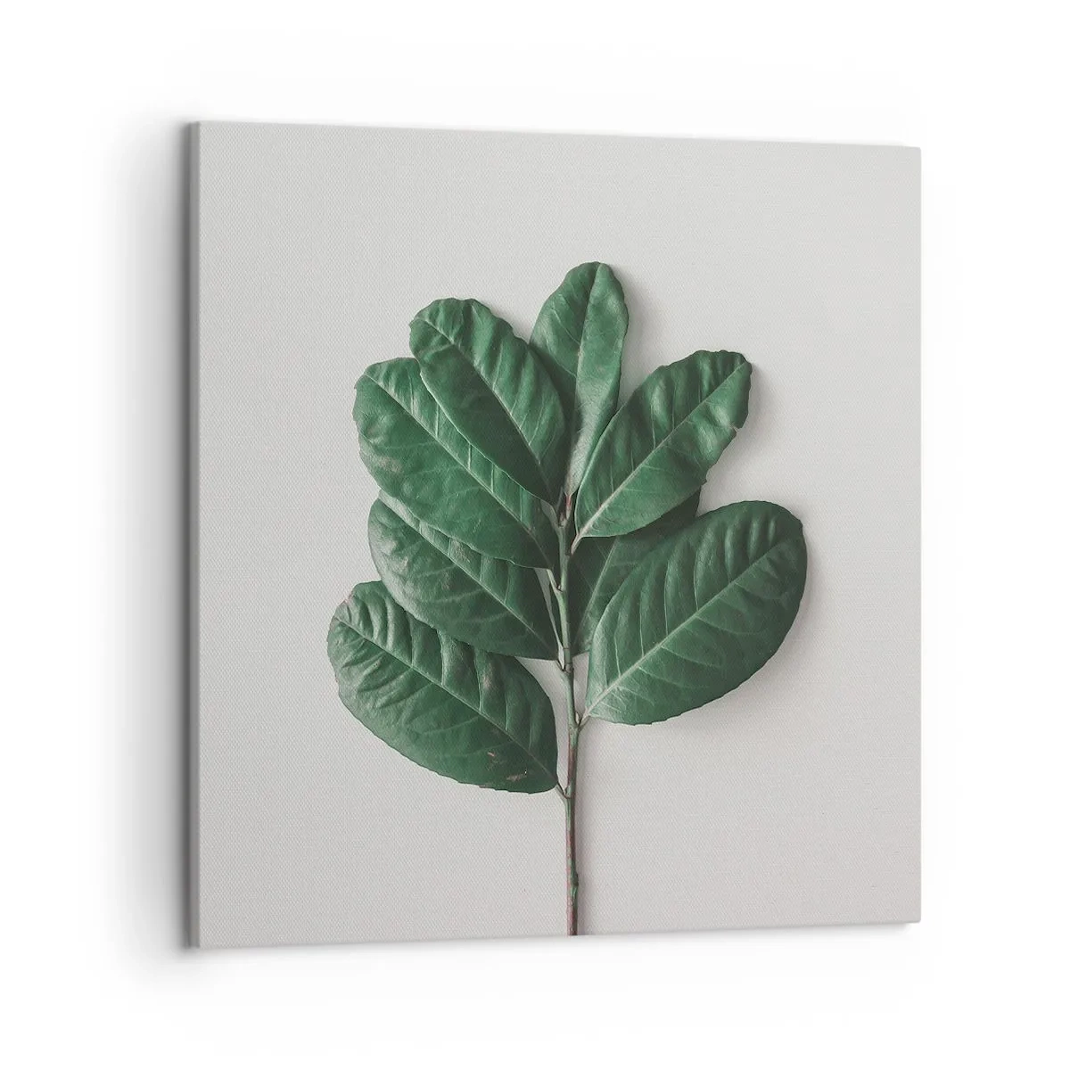 Canvas picture - Drawing of Nature Itself - 50x50 cm