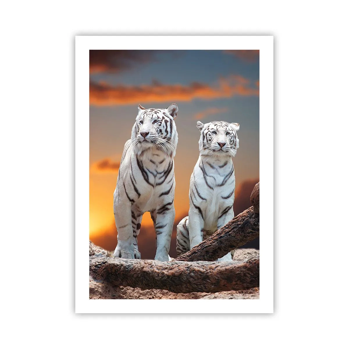 Poster - Just Like in Narnia - 50x70 cm