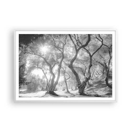 Poster in white frmae - In an Olive Grove - 100x70 cm